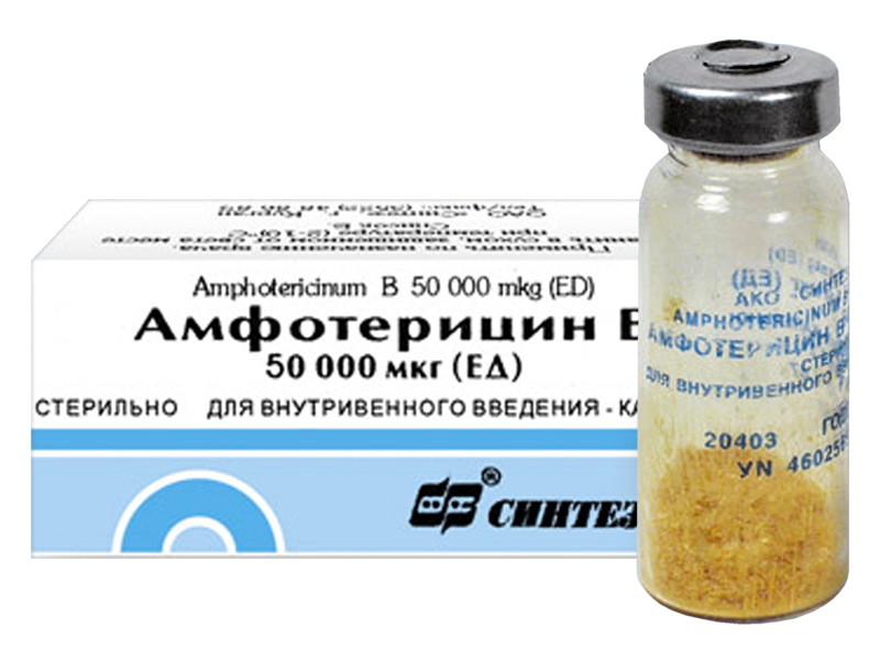 Амфотерицин В флаконы 50 мг , 10 мл Синтез АКОМП